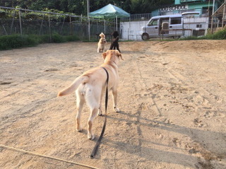 1日@.jpg