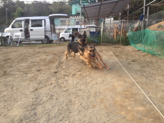 4.18@.jpg