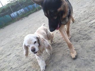 6.13@.jpg