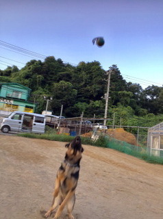 8.27@.jpg