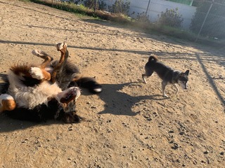 9C8946B1-4B7C-4369-9F4B-3ABCBD3DF1D3.jpeg